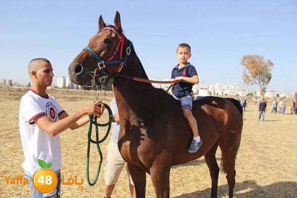 horse race 0602 (18).JPG